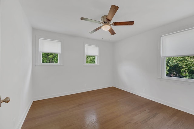 828 Lemont Dr, Nashville, TN 37216 - photo 12