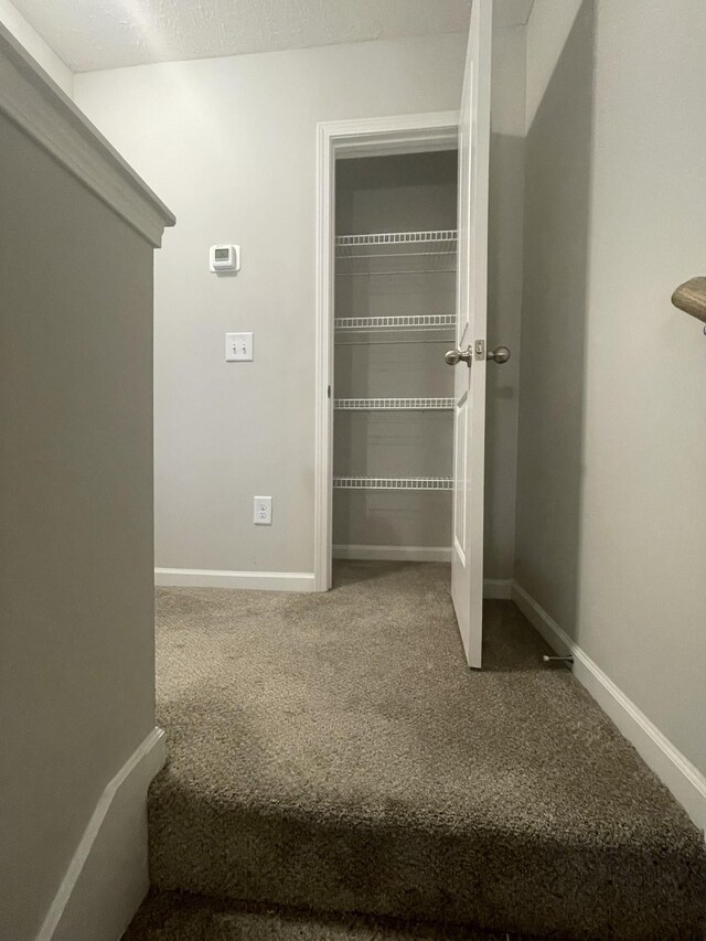105 Jean Alyne Dotson Dr, La Vergne, TN 37086 - photo 21