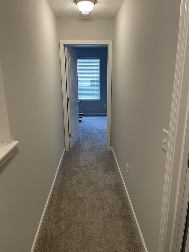 105 Jean Alyne Dotson Dr, La Vergne, TN 37086 - photo 22