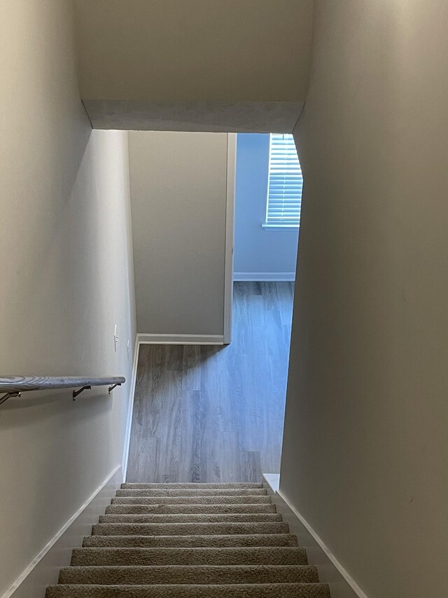 105 Jean Alyne Dotson Dr, La Vergne, TN 37086 - photo 19