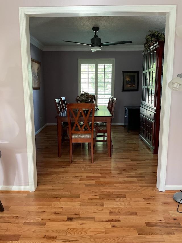 505 Breslin Ave, Smyrna, TN 37167 - photo 52
