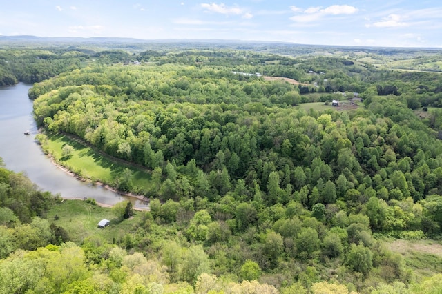 birds eye view of property with a forest view and a water view