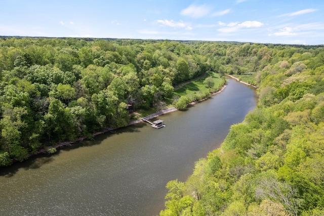 bird's eye view with a view of trees and a water view
