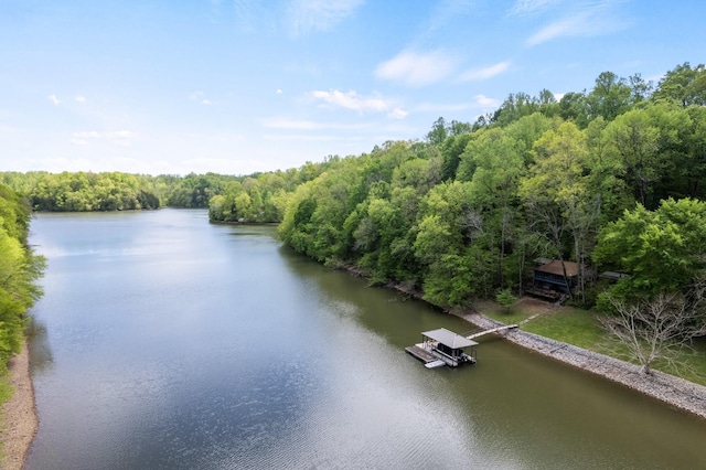 view of water feature with a dock and a forest view