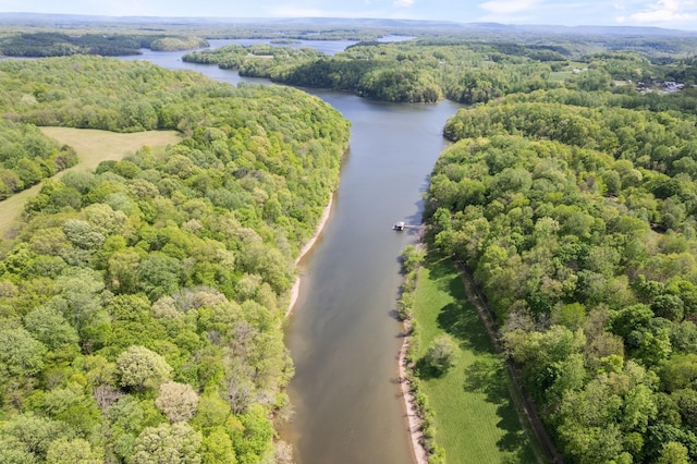 bird's eye view with a view of trees and a water view