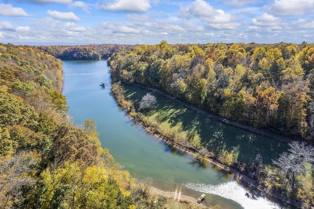 birds eye view of property featuring a view of trees and a water view