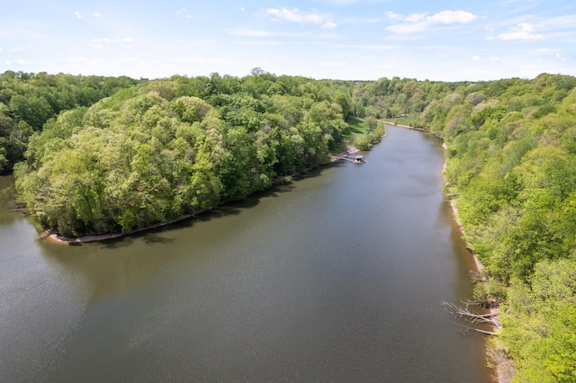 bird's eye view featuring a view of trees and a water view
