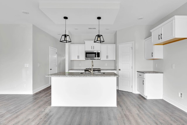 350 Galway Dr, Clarksville, TN 37042 - kitchen featuring stainless steel microwave, baseboards, stone countertops, and wood finished floors