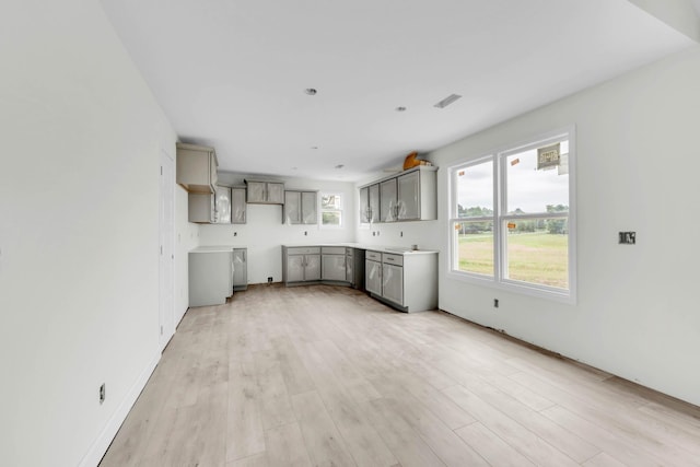 1010 Cherry Acres Dr, Clarksville, TN 37042 - kitchen featuring gray cabinetry and light wood finished floors