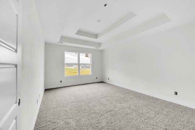 1010 Cherry Acres Dr, Clarksville, TN 37042 - carpeted empty room with a raised ceiling and baseboards