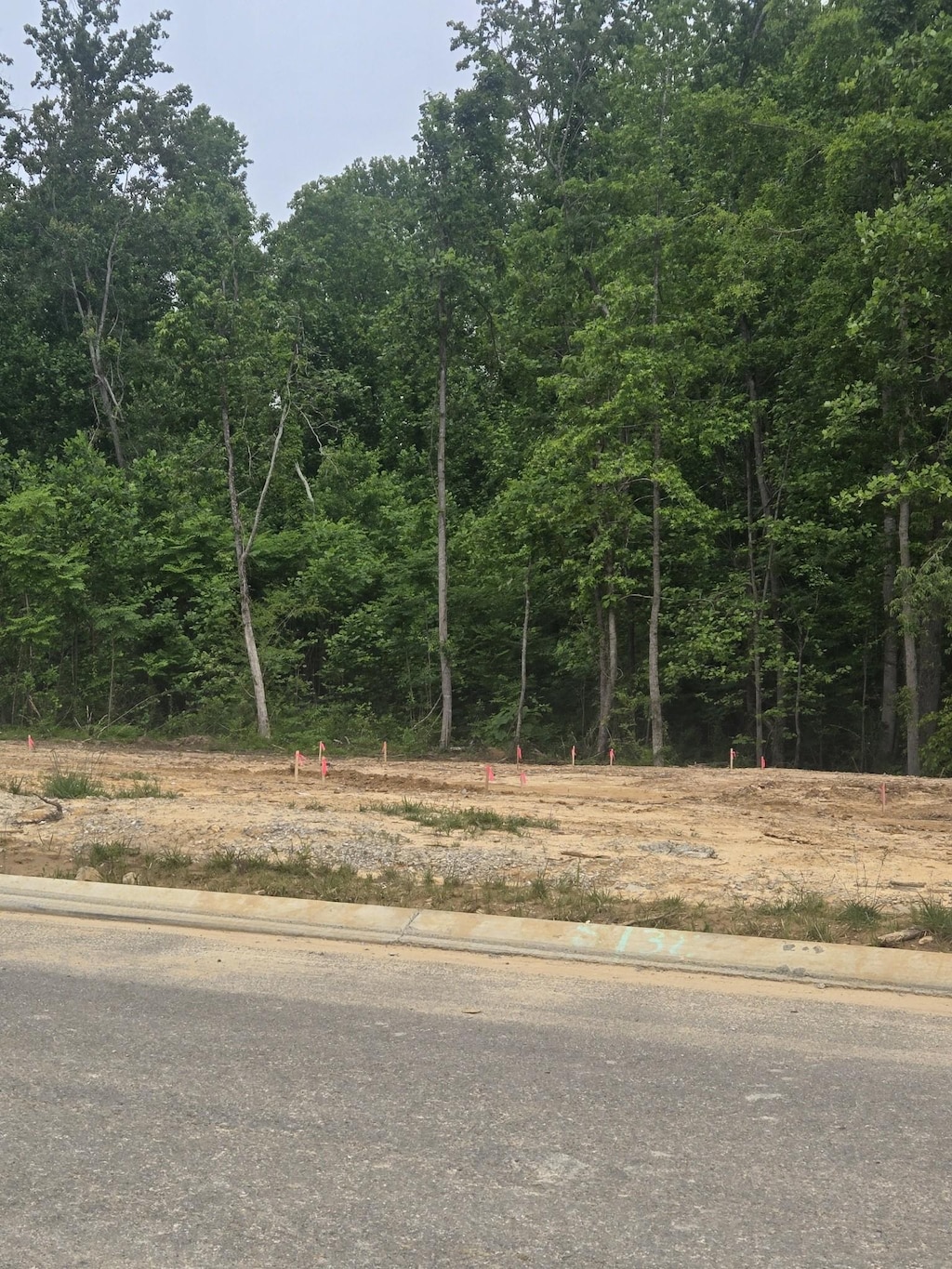 2388 Nelson Way, Cookeville, TN 38506 - view of asphalt road featuring curbs and a wooded view