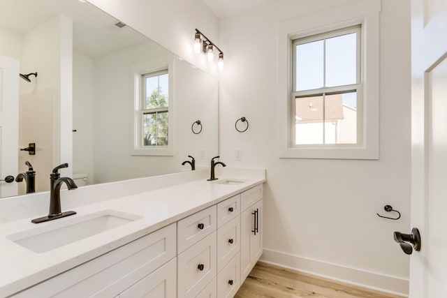 bathroom featuring double vanity, wood finished floors, baseboards, and a sink