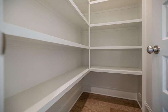 7408 Black Fox Dr, Fairview, TN 37062 - view of pantry