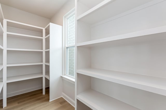 7408 Black Fox Dr, Fairview, TN 37062 - view of pantry