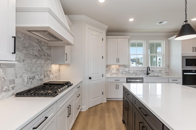 7408 Black Fox Dr, Fairview, TN 37062 - kitchen featuring a sink, visible vents, backsplash, custom range hood, and appliances with stainless steel finishes