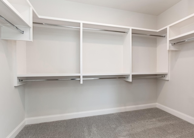 7408 Black Fox Dr, Fairview, TN 37062 - spacious closet featuring carpet floors