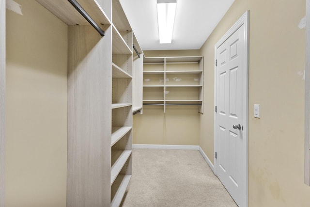 spacious closet with carpet flooring