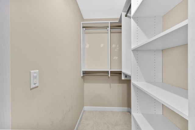 walk in closet with carpet floors