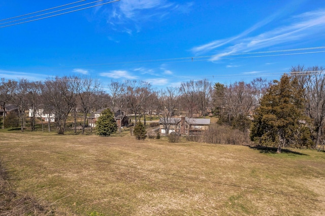 8309 Alamo Rd, Brentwood, TN 37027 - view of yard