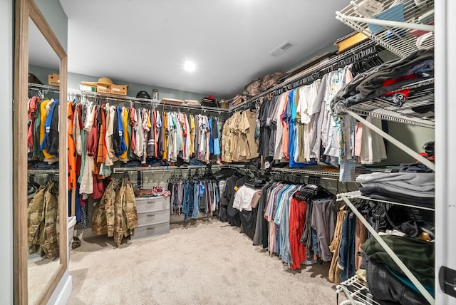 237 Wade Hampton Ln, Clarksville, TN 37040 - spacious closet featuring visible vents and carpet