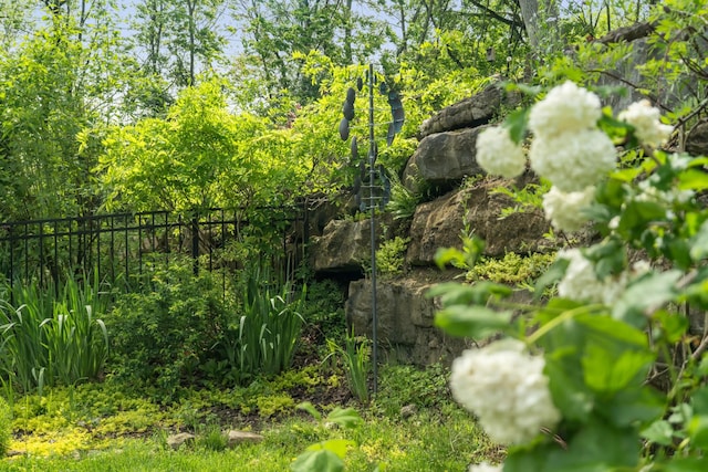 view of nature
