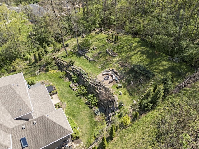 aerial view