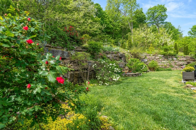 view of yard