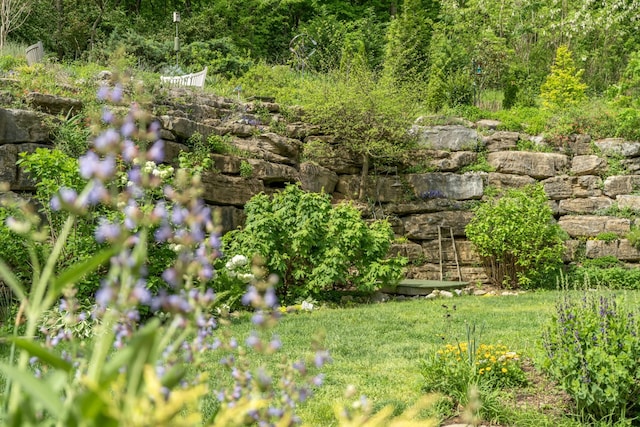 view of yard featuring a wooded view