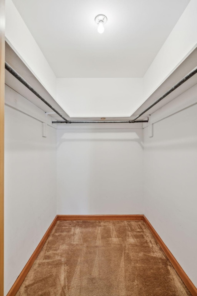 909 Hillsboro Rd, Franklin, TN 37064 - walk in closet with carpet flooring