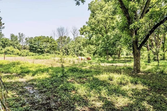 5755 Railroad St, Williston, TN 38076 - view of undeveloped land