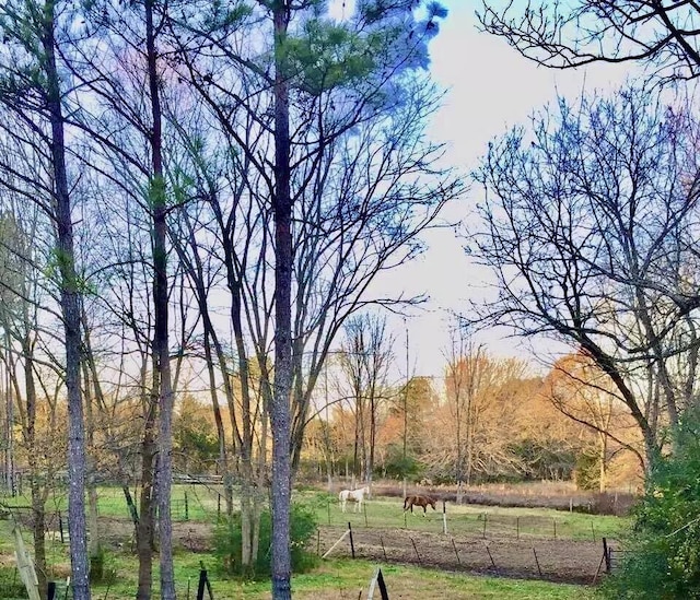 5755 Railroad St, Williston, TN 38076 - view of property's community featuring a wooded view