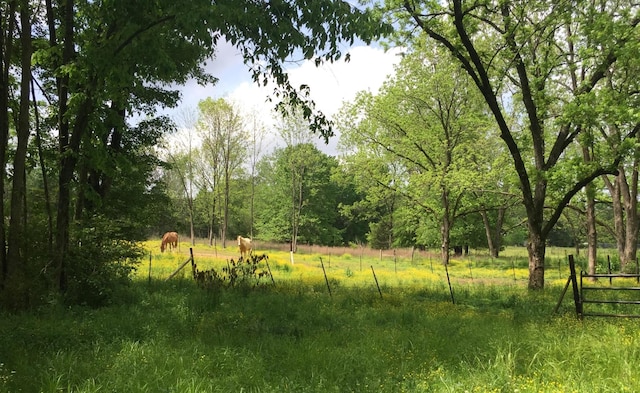 5755 Railroad St, Williston, TN 38076 - view of wooded area