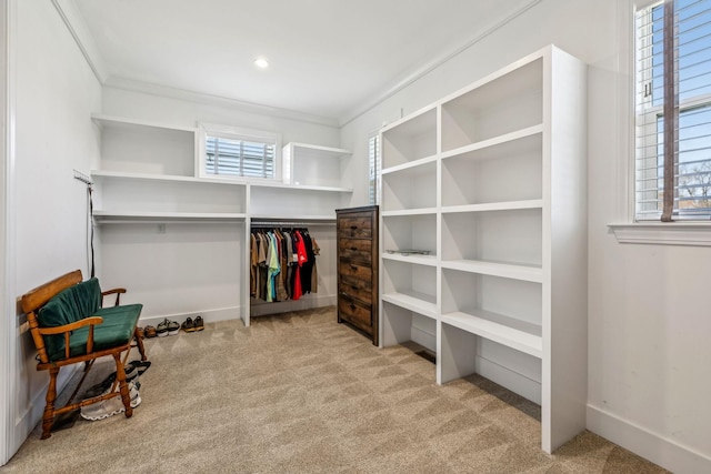 walk in closet featuring carpet