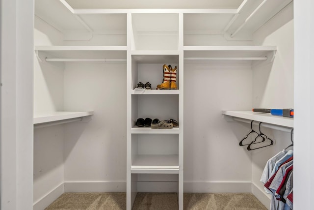 walk in closet with carpet floors