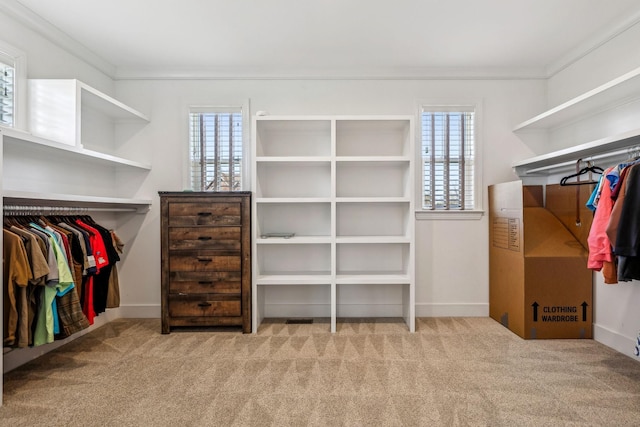 walk in closet with carpet floors