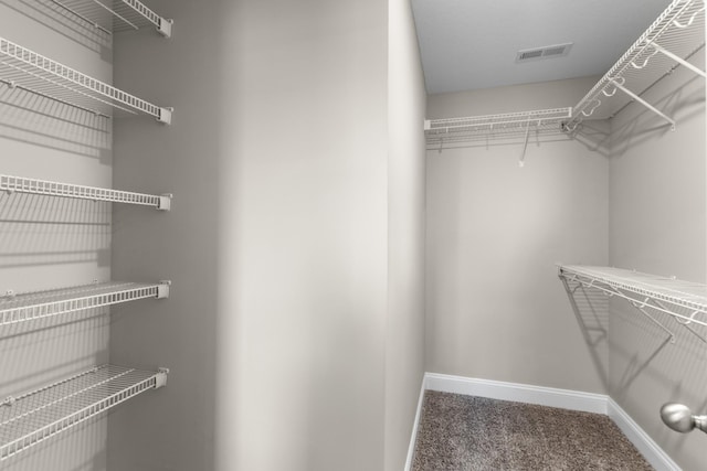 spacious closet featuring visible vents and carpet flooring
