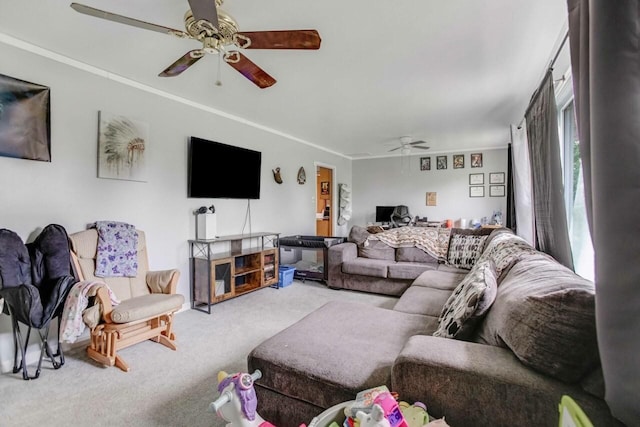 living area with a ceiling fan and carpet floors