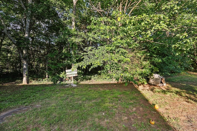 4726 Hickory Ln, Murfreesboro, TN 37129 - view of green lawn