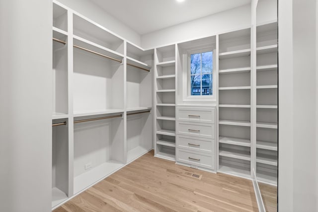 spacious closet with light wood-style flooring