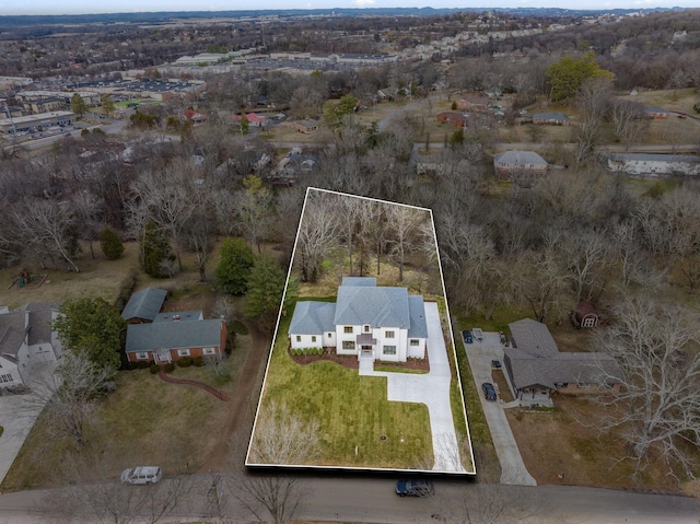 bird's eye view
