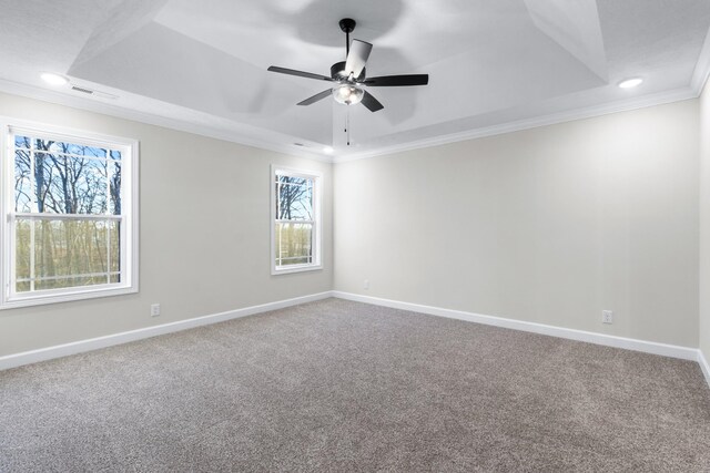 998 Alton Dr, Clarksville, TN 37043 - carpeted empty room with plenty of natural light, baseboards, a raised ceiling, and ornamental molding