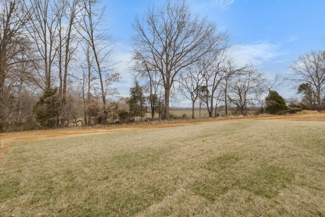 484 Herman Dr, Clarksville, TN 37042 - view of yard