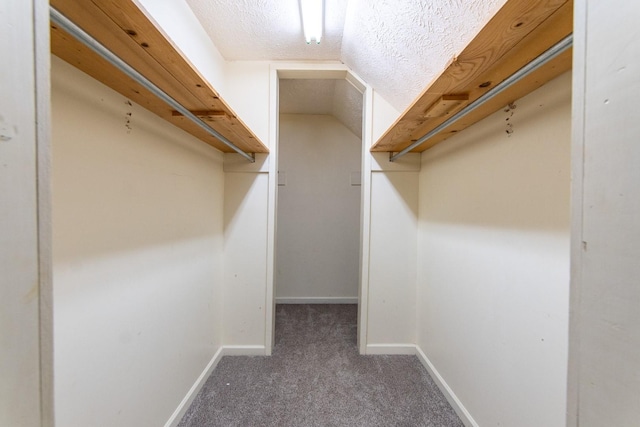 walk in closet featuring carpet floors