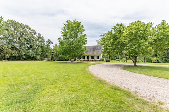 surrounding community featuring driveway, a yard, and a trampoline