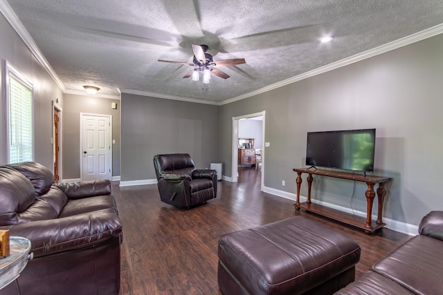 living room featuring a ceiling fan, wood finished floors, and a textured ceiling