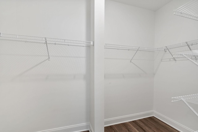 walk in closet featuring dark wood-style flooring