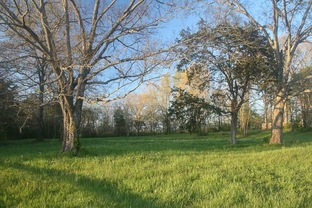 2734 Lanton Schoolhouse Rd, Spring Hill, TN 37174 - photo 9