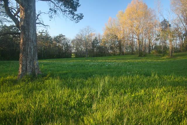 2734 Lanton Schoolhouse Rd, Spring Hill, TN 37174 - photo 13