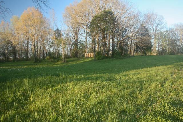 2734 Lanton Schoolhouse Rd, Spring Hill, TN 37174 - photo 12