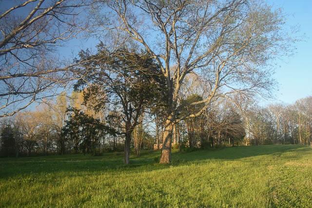 2734 Lanton Schoolhouse Rd, Spring Hill, TN 37174 - photo 10